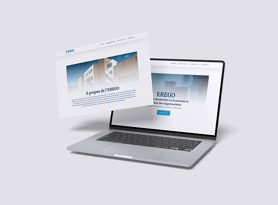 EREGO Website Mockup
